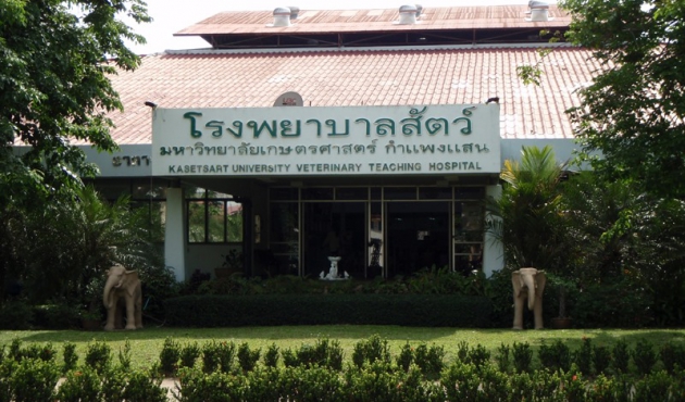 โรงพยาบาลสัตว์ มหาวิทยาลัยเกษตรศาสตร์ กำแพงแสน