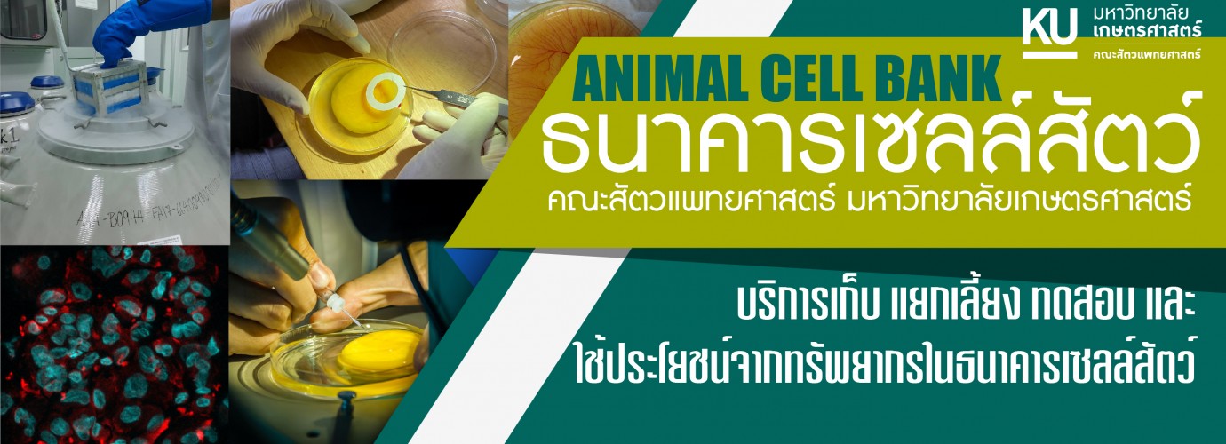 Student Achievement Award